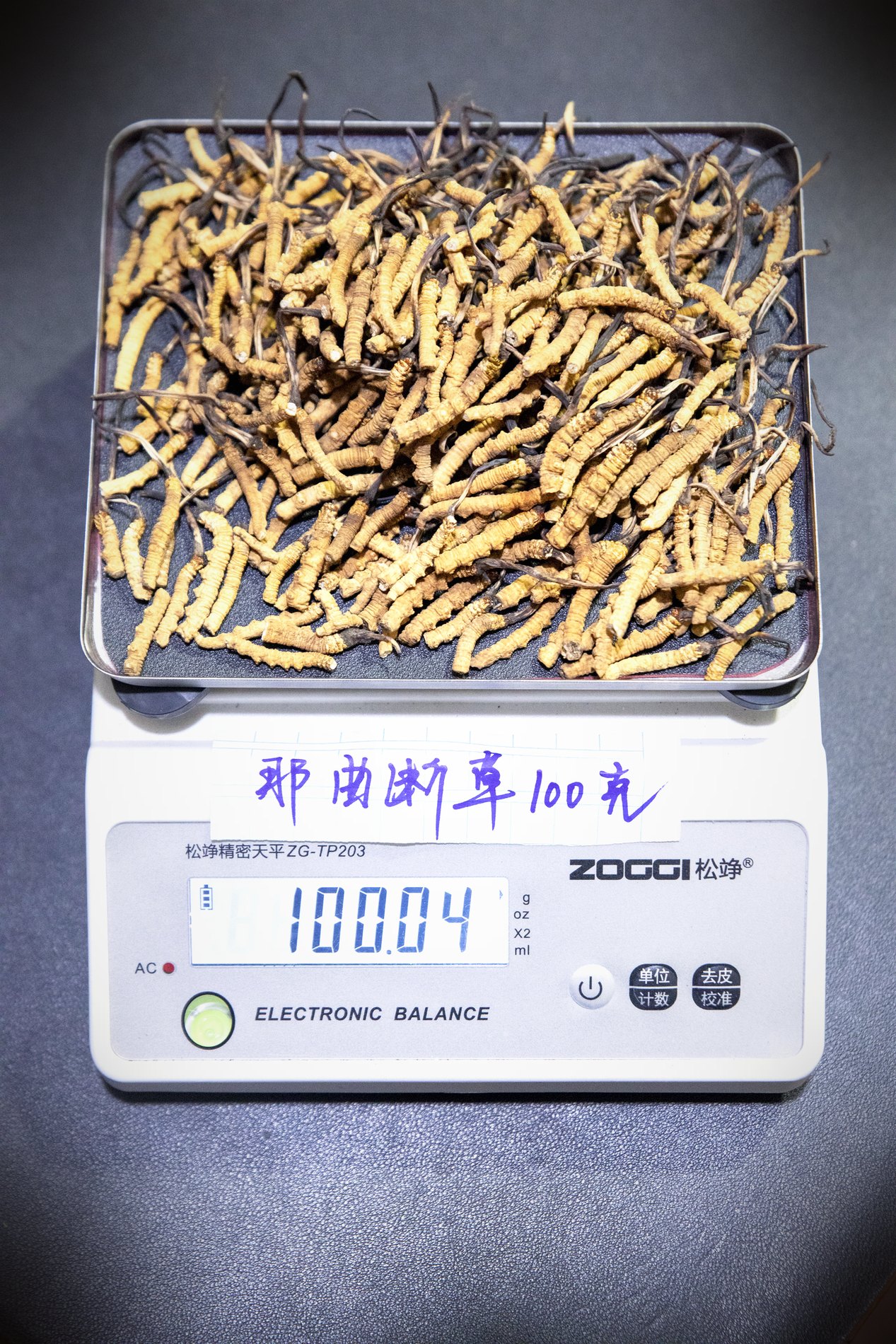 干虫草特写