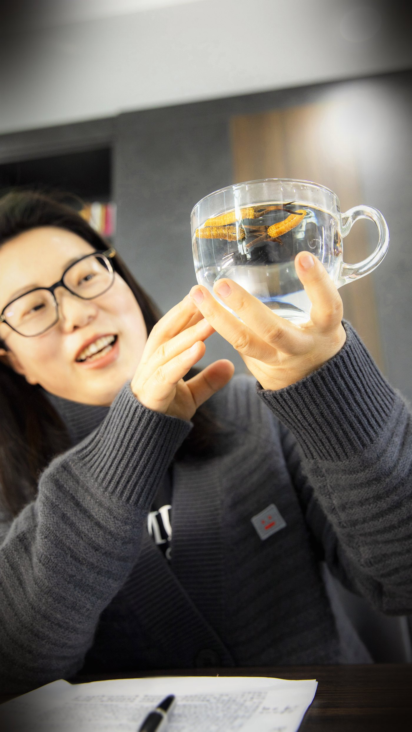 泡一杯虫草水
