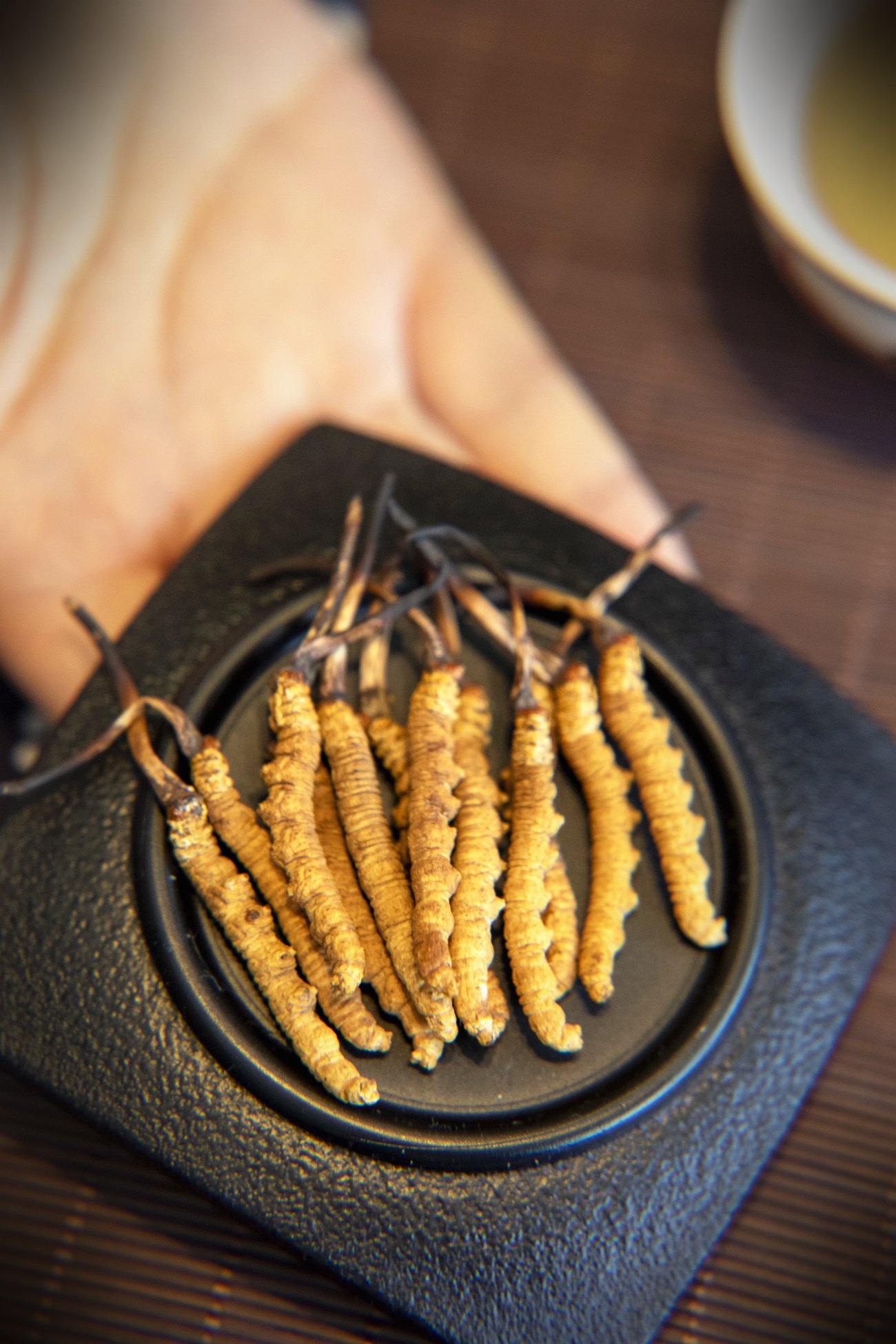 珍峰野生干虫草