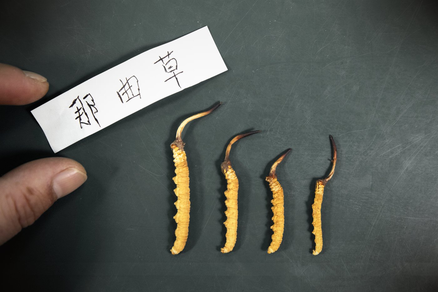 逐项对照