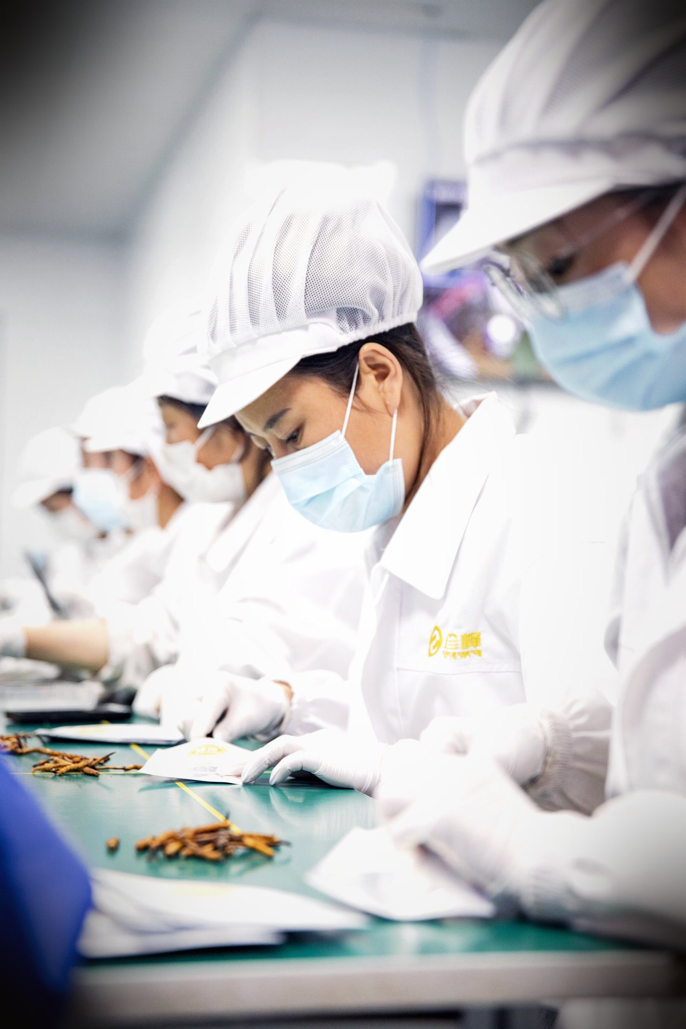 西宁车间 · 人工逐根精挑