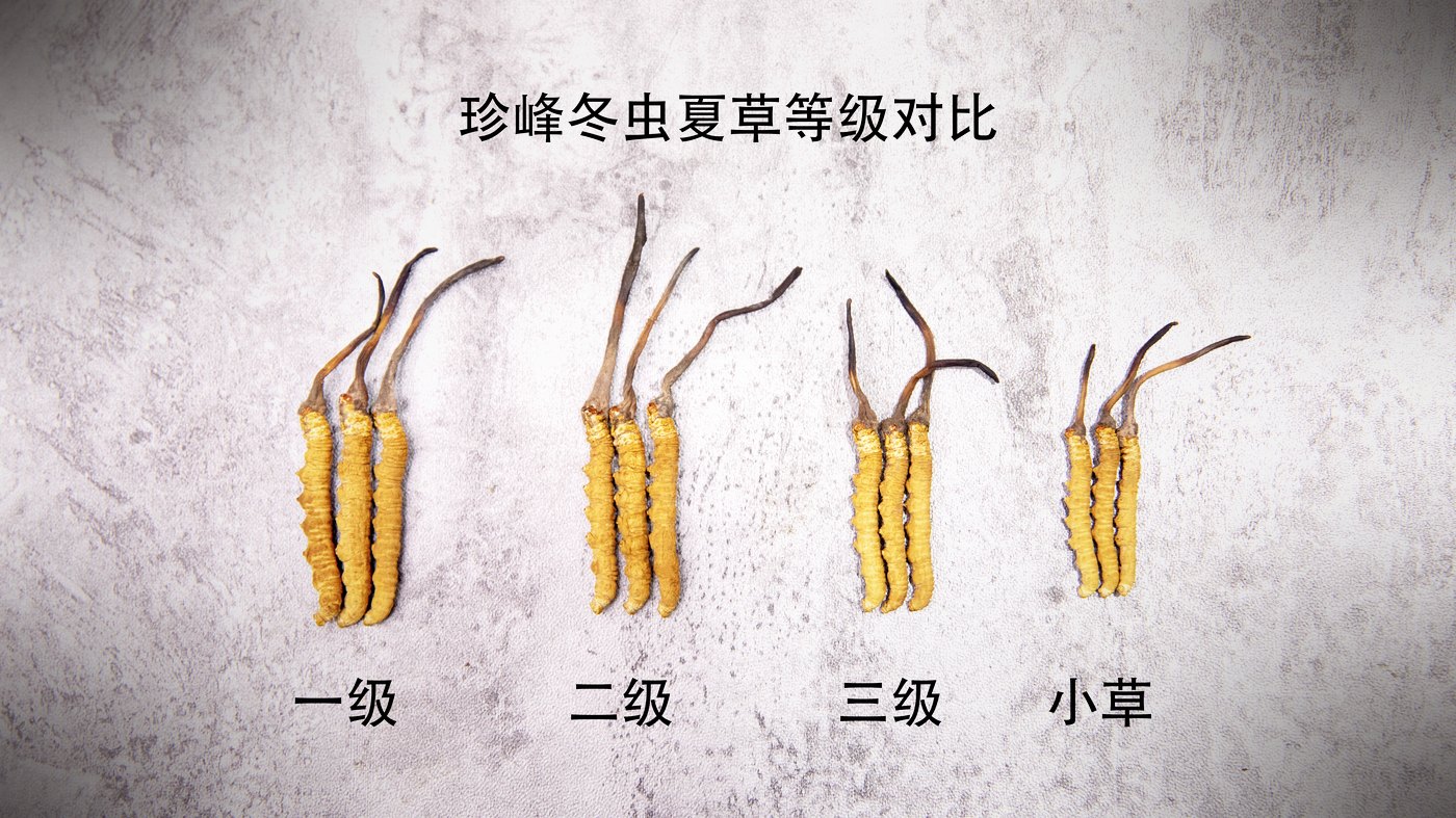 逐项对照