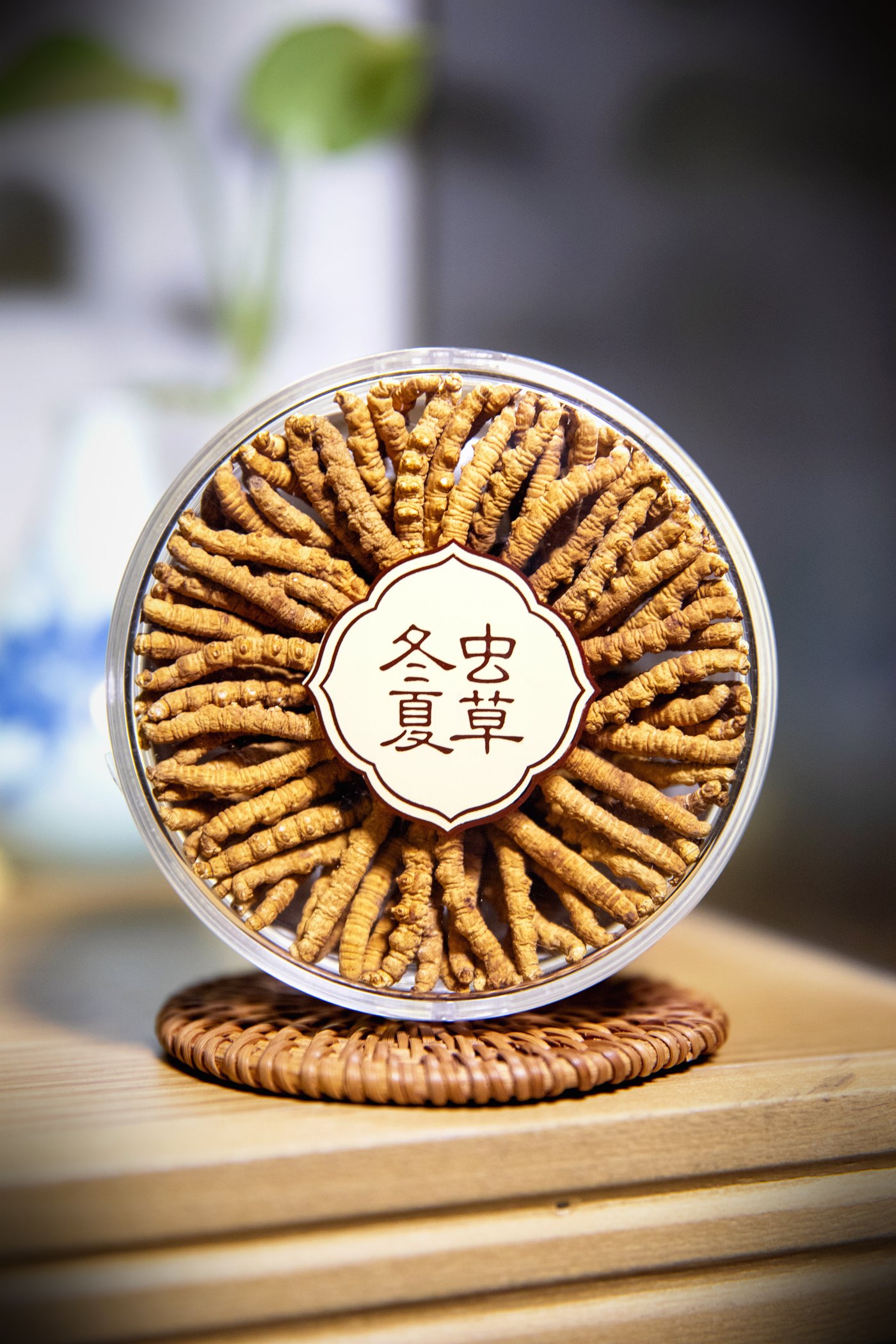 干虫草特写