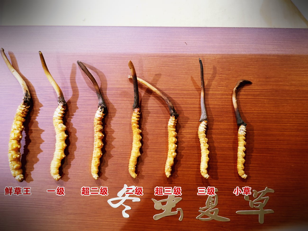 野生与人工的逐项对照