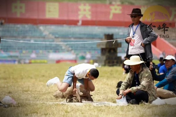 草原与牦牛 · 虫草生长的地方