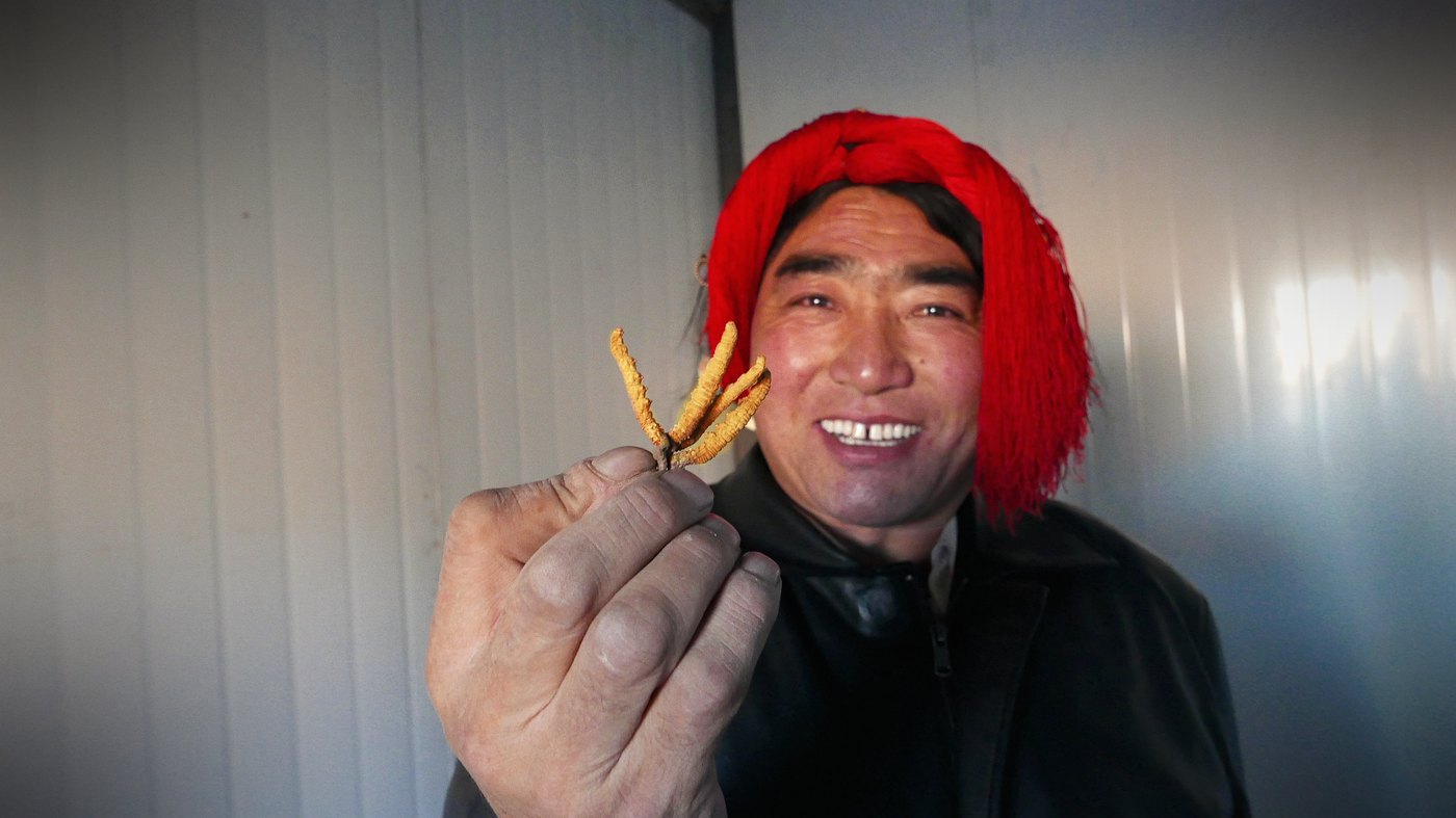 源头现收