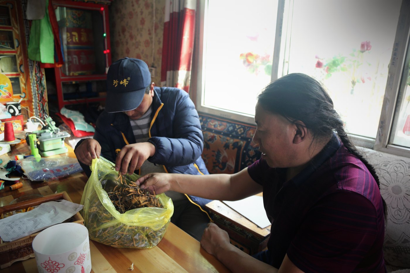 源头现收 · 草从牧民手里直接进仓库