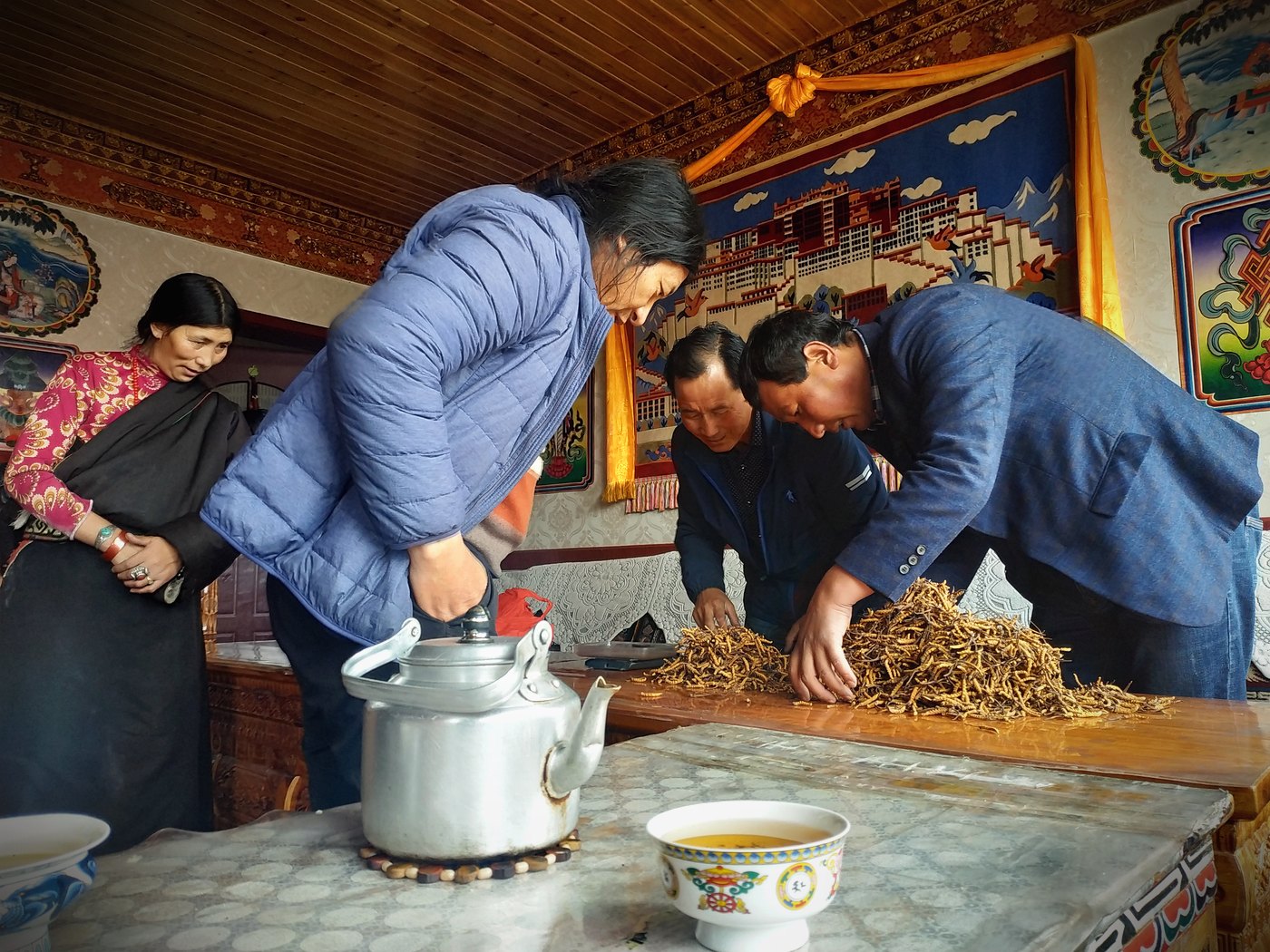 源头现收 · 草从牧民手里直接进仓库