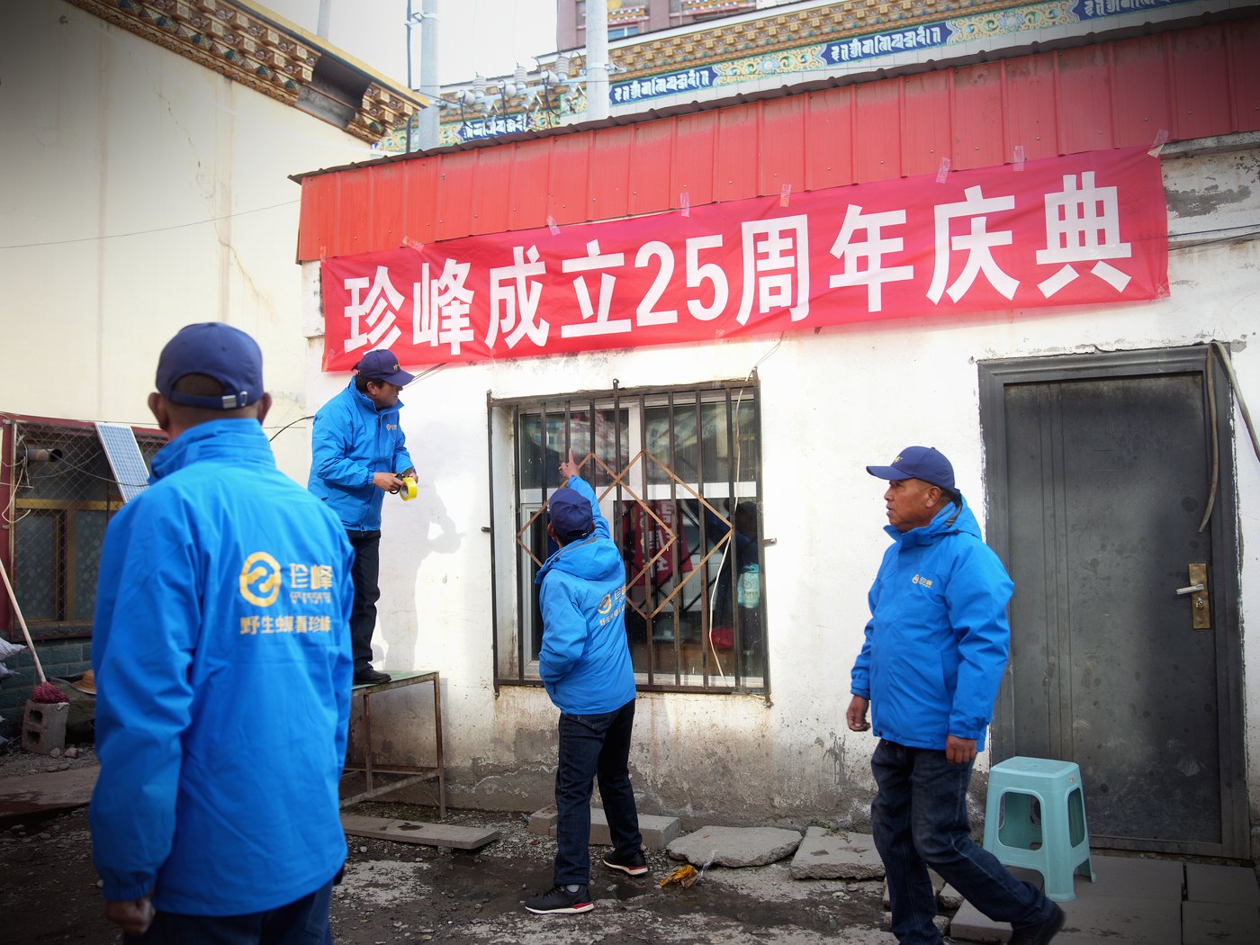 珍峰团队