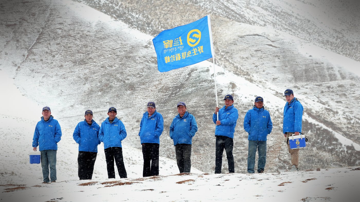 珍峰团队
