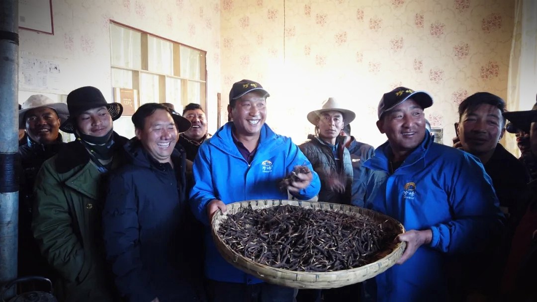 源头现收