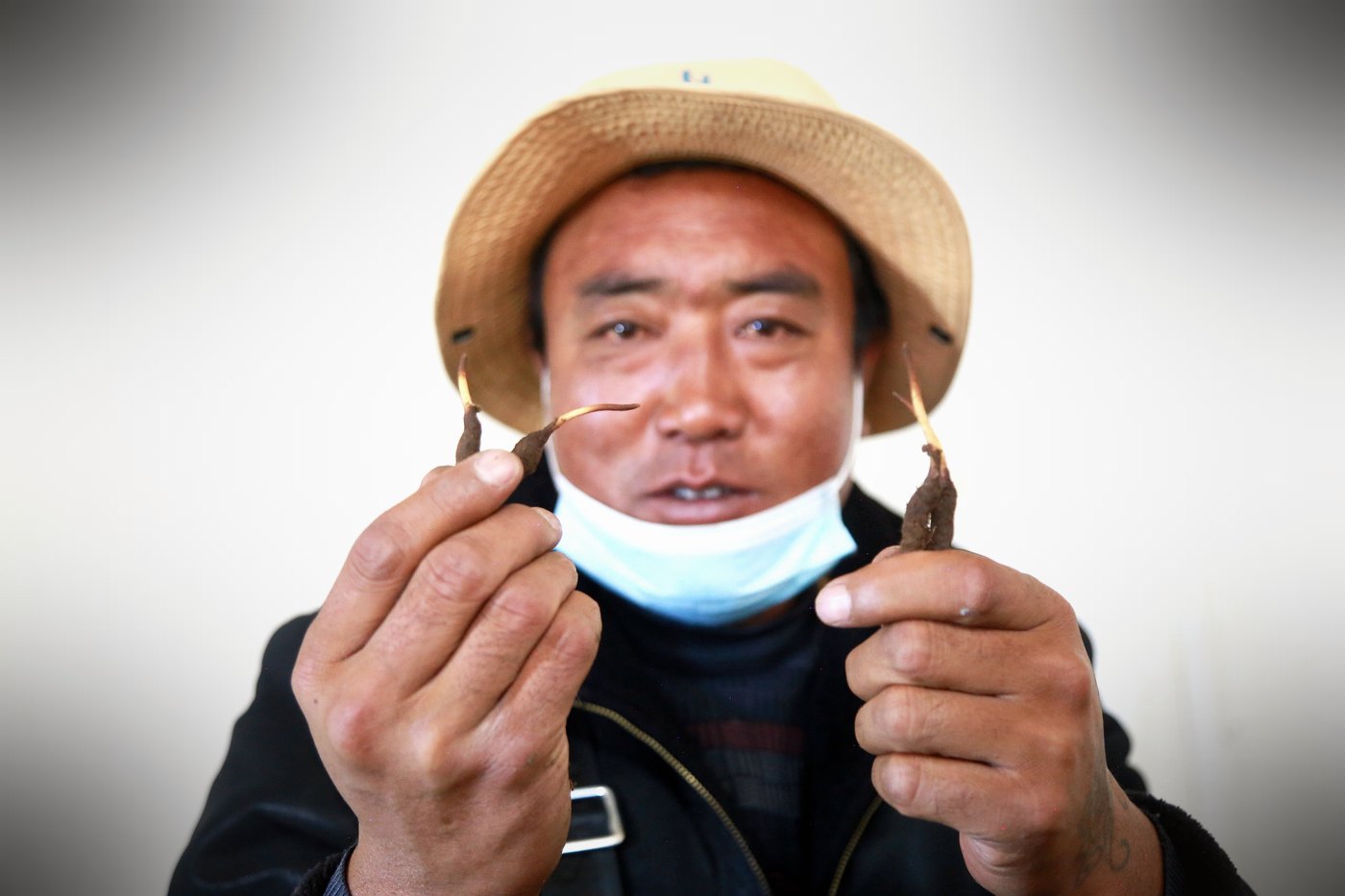 珍峰团队