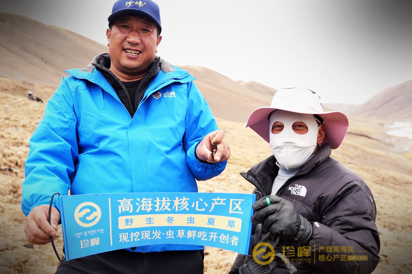 珍峰的人