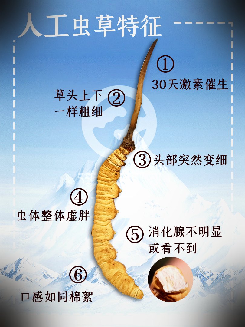 真假鉴别要点图
