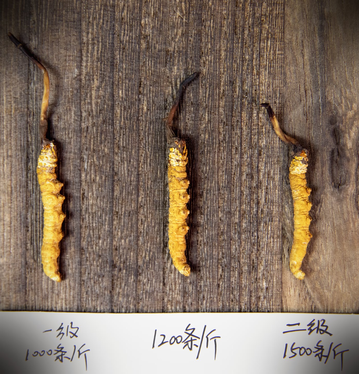 逐项对照