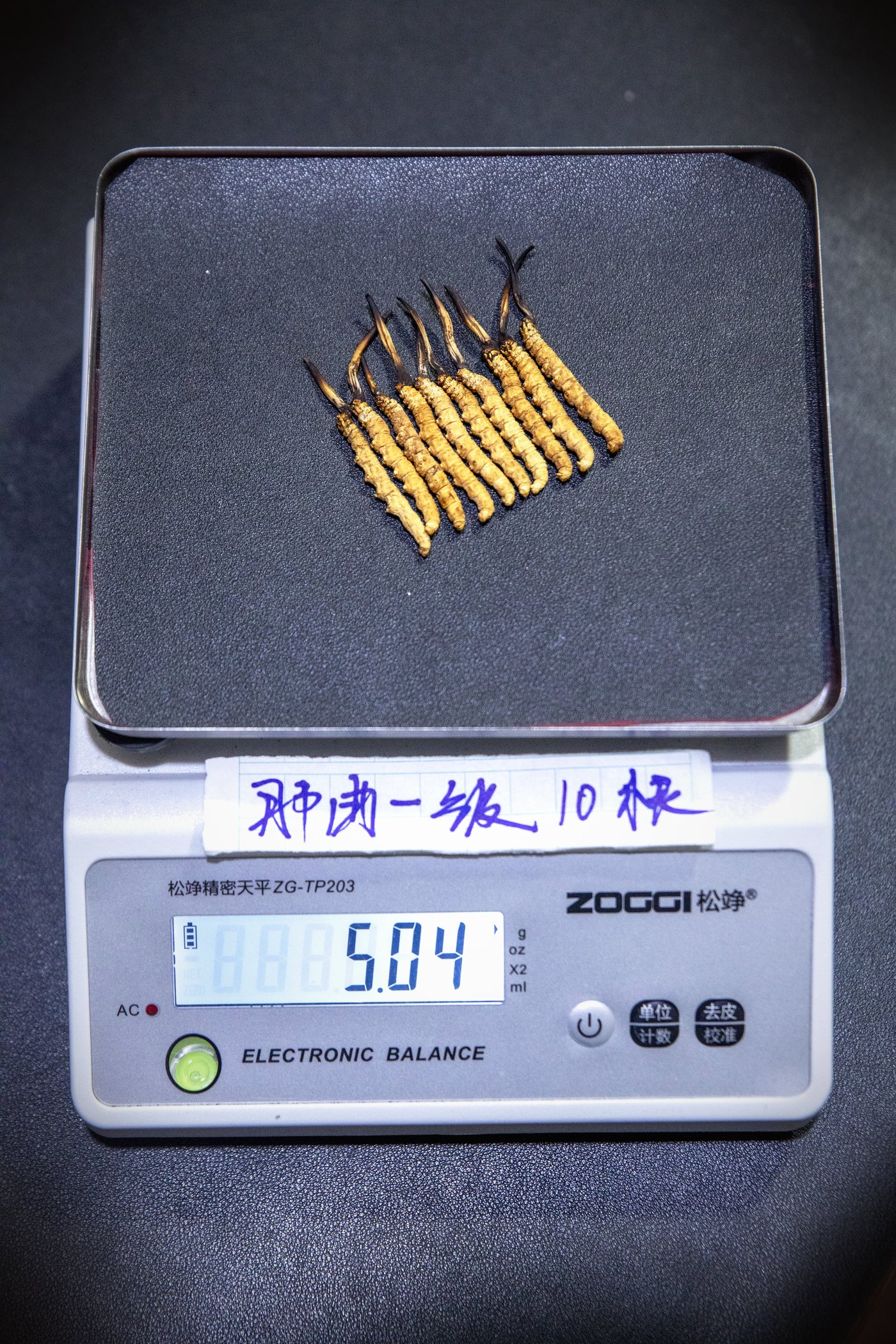 干虫草特写