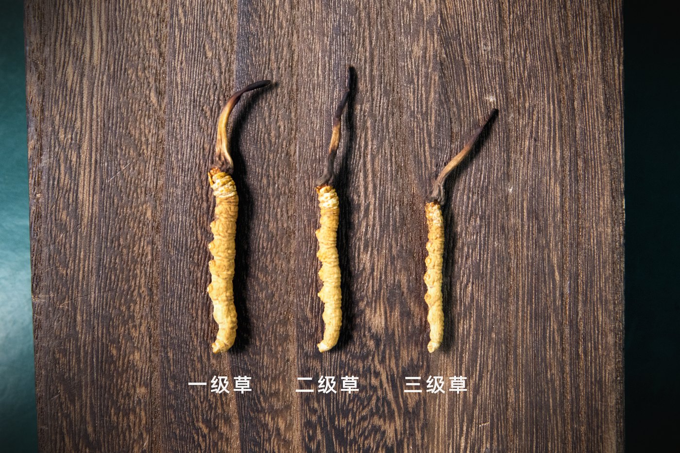 等级实物比对