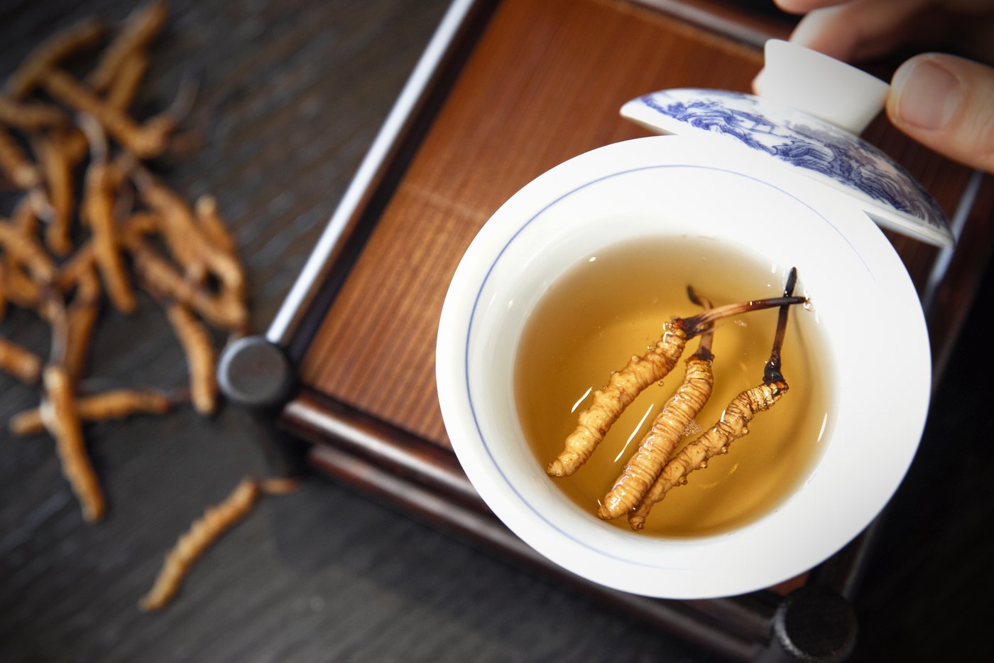 干虫草特写