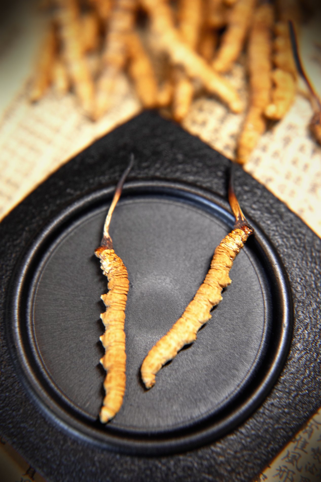 一级干虫草