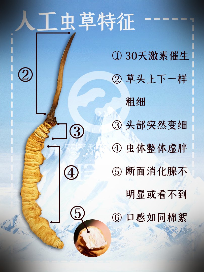 真假鉴别要点图