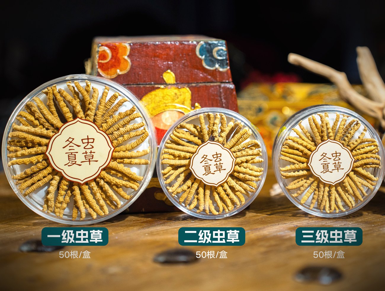 野生与人工的逐项对照