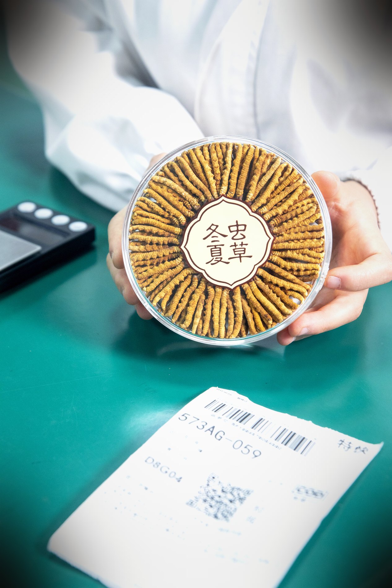 干虫草特写