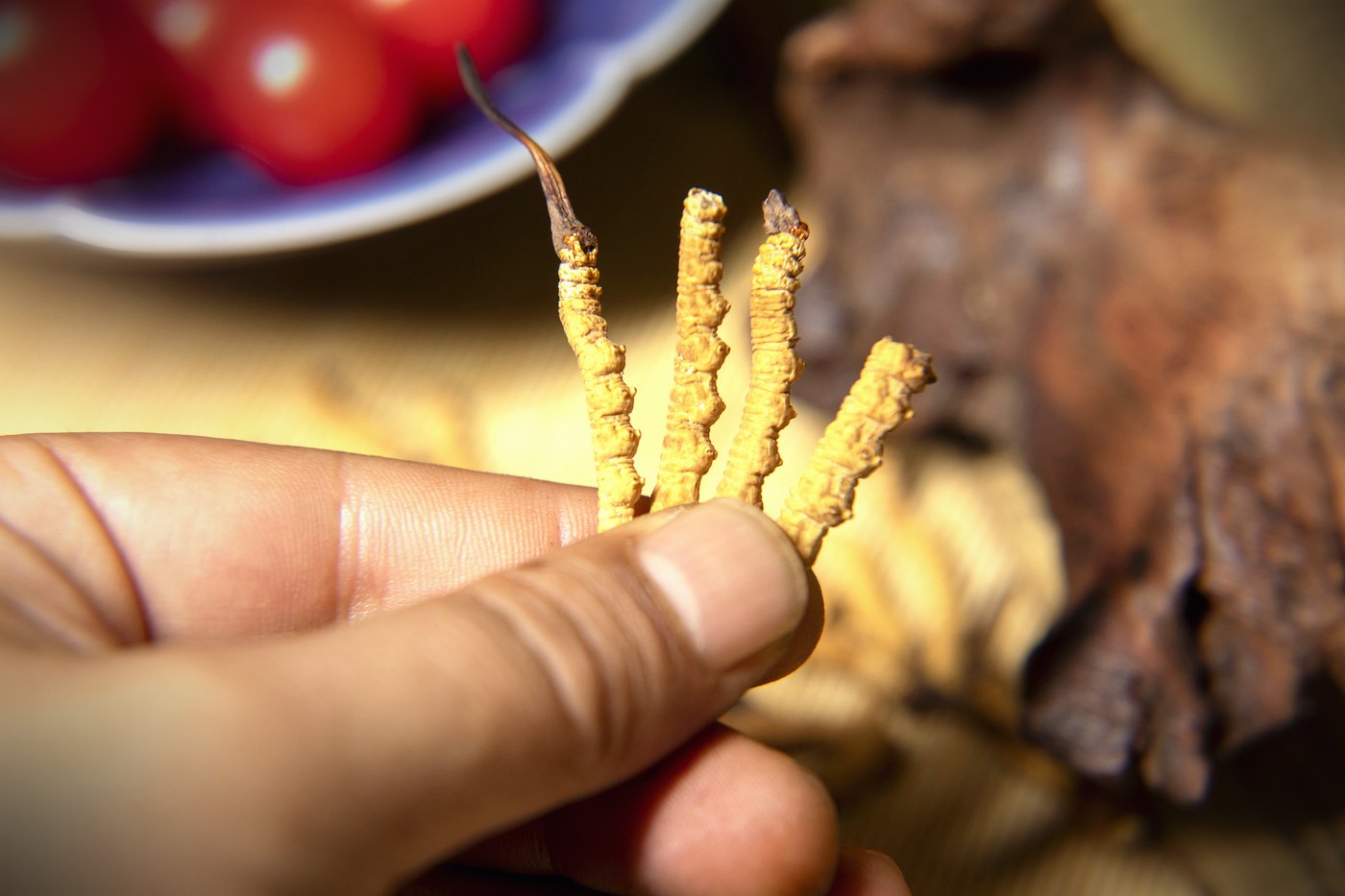 干虫草特写