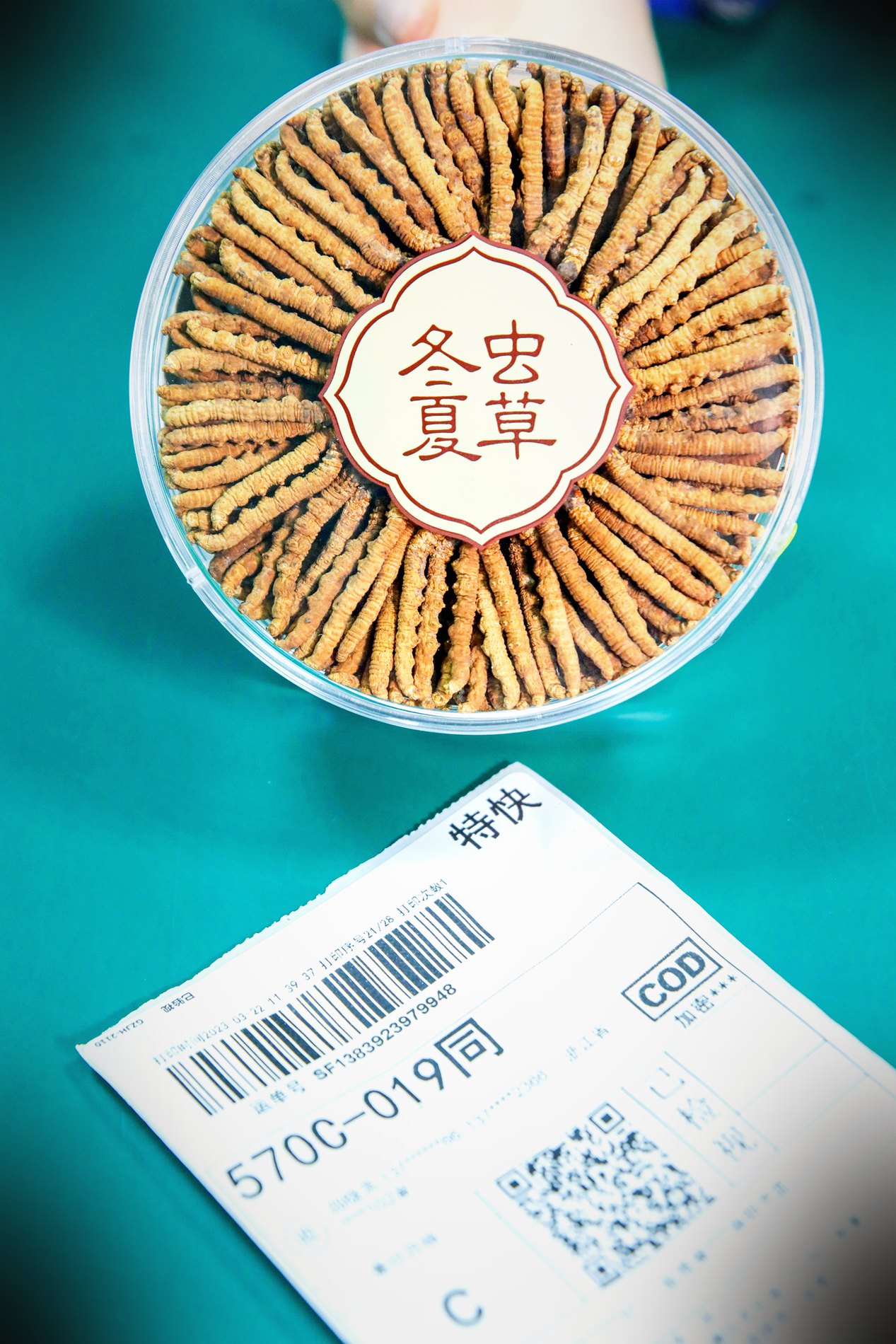 干虫草特写