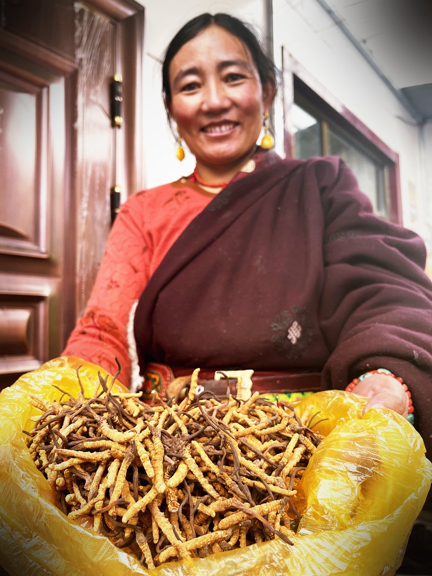 逐项对照