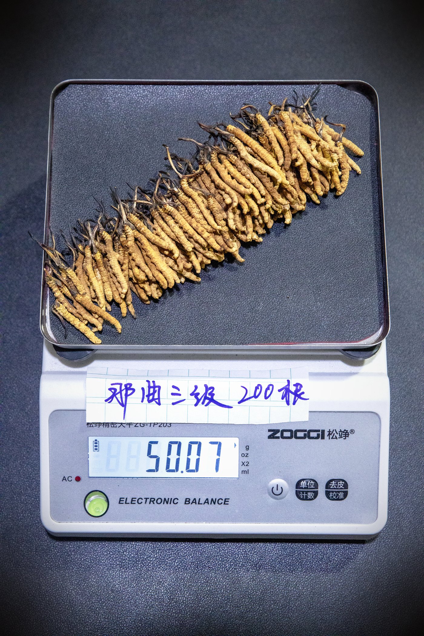 干虫草特写