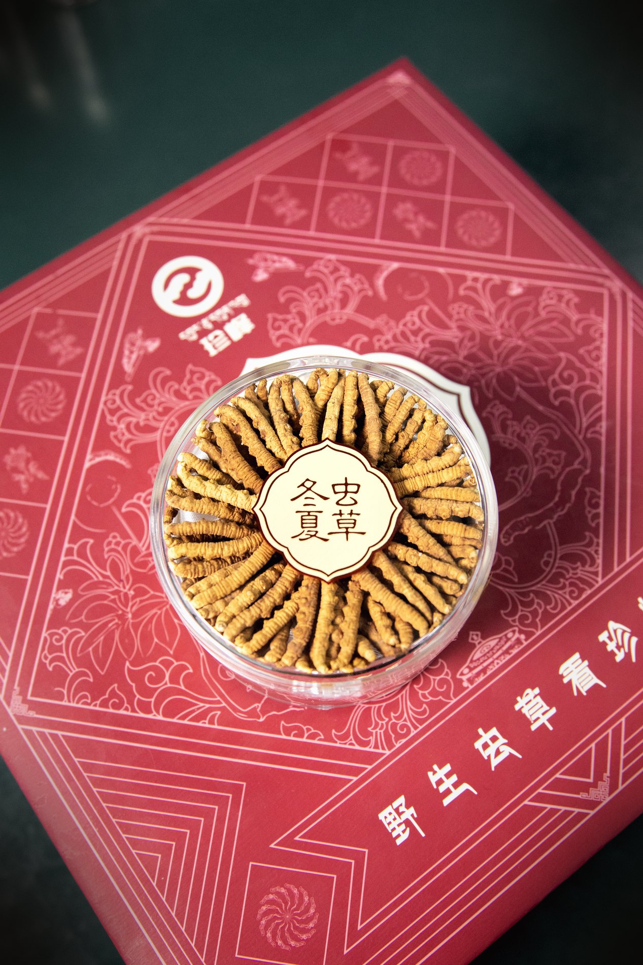 干虫草特写