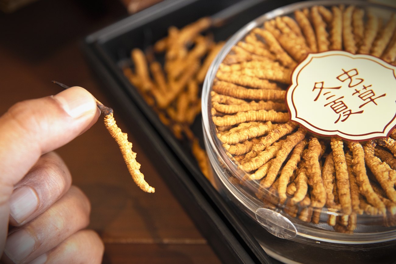 珍峰野生干虫草