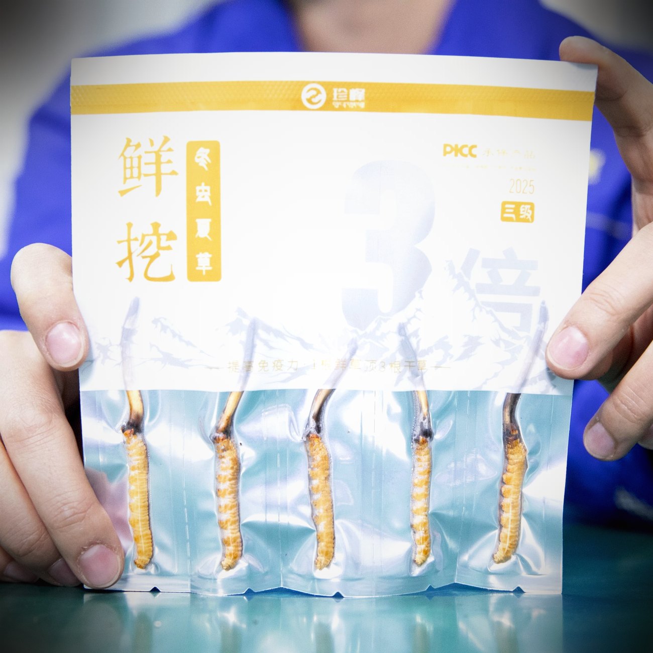 珍峰野生鲜虫草 · 水分饱满