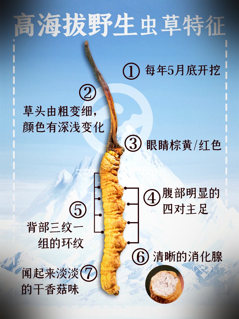 真假鉴别要点图
