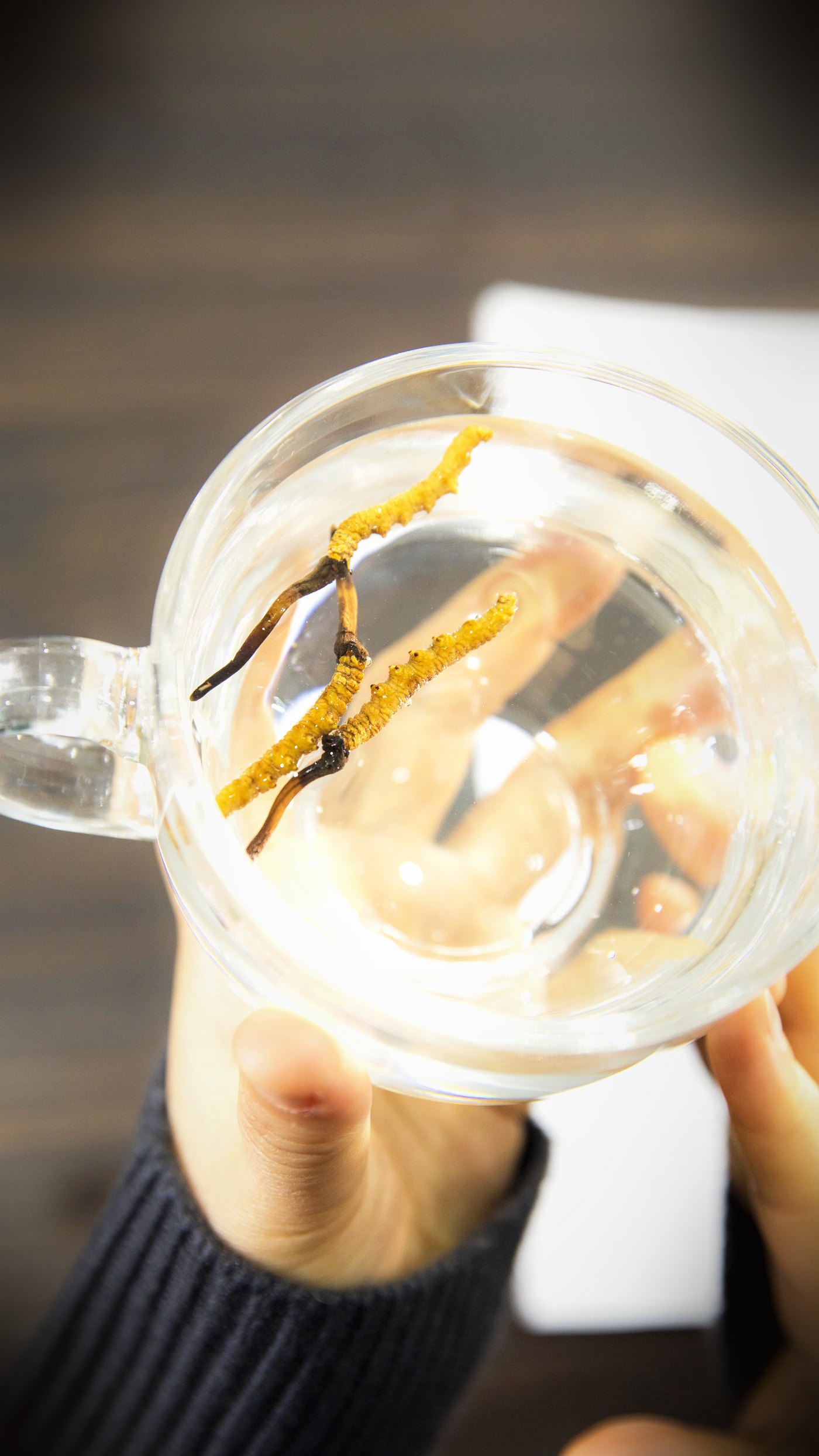 泡一杯虫草水