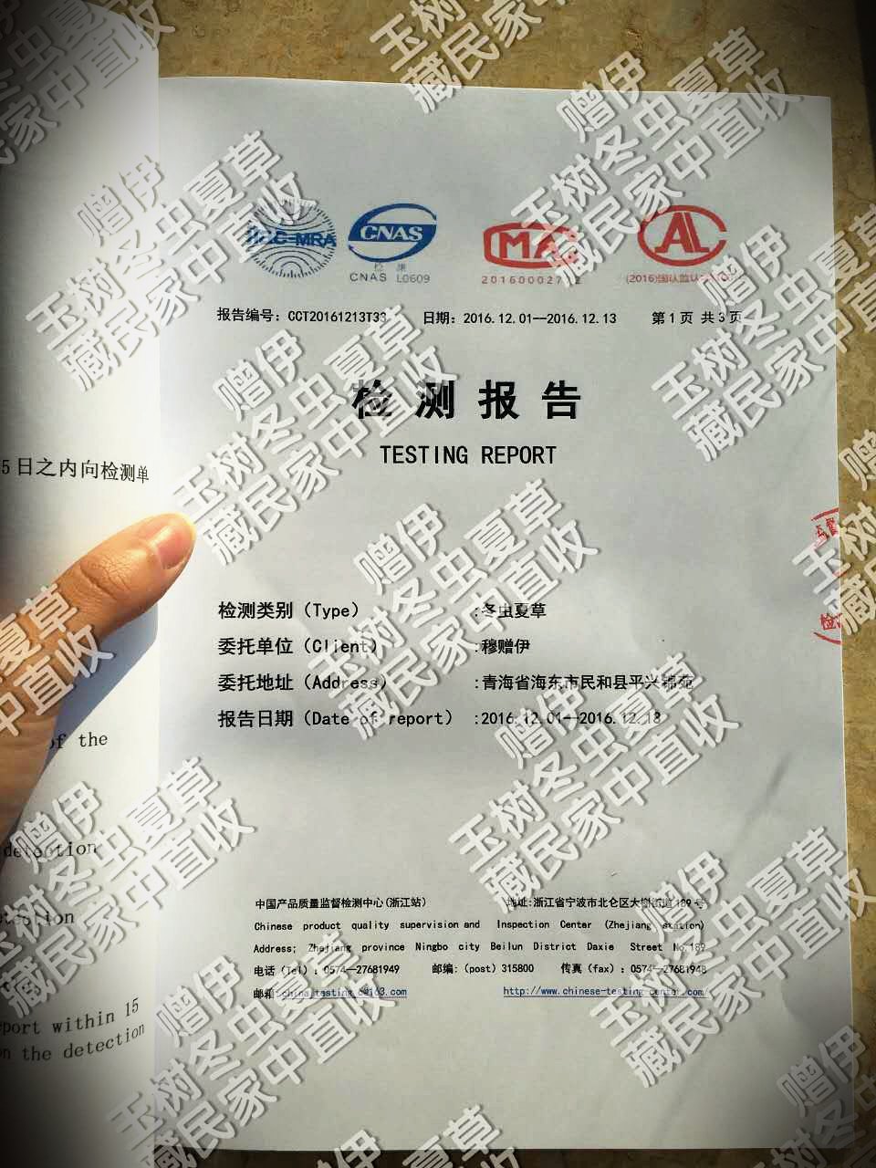 第三方检测报告