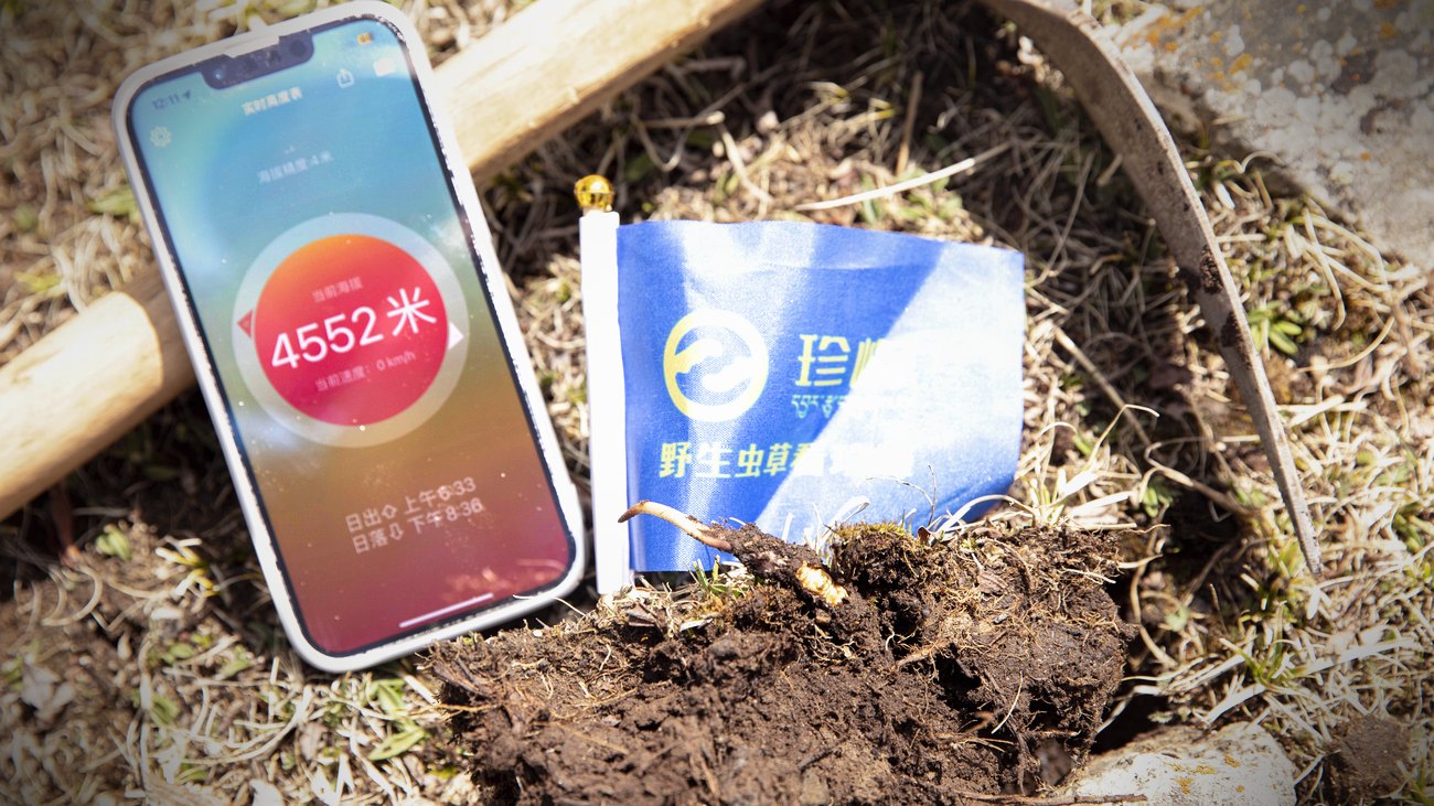 高度表实测 · 珍峰的收草海拔