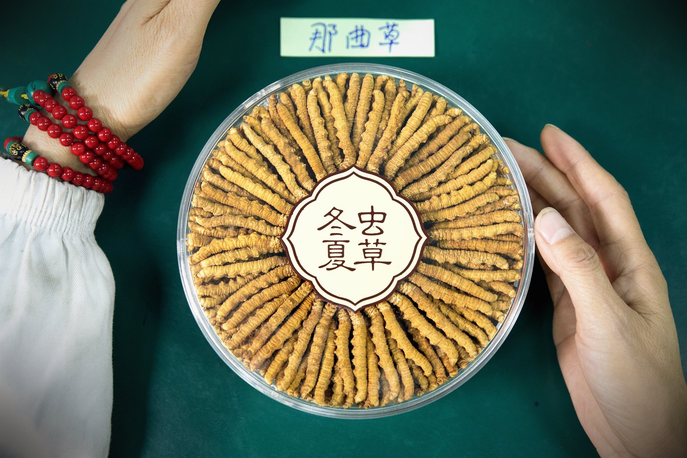 干虫草特写