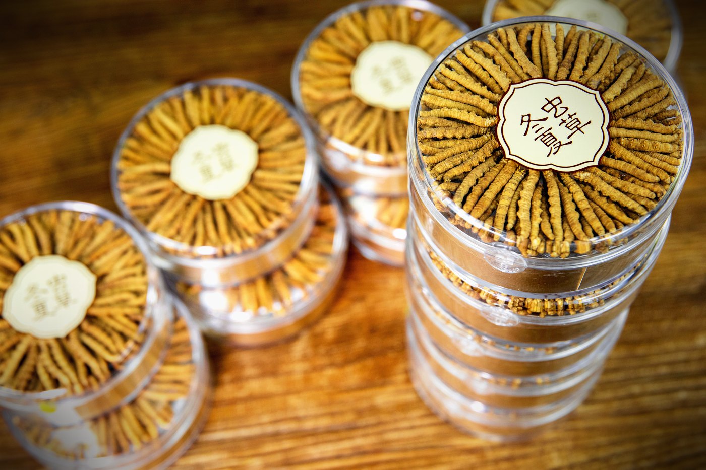 干虫草特写