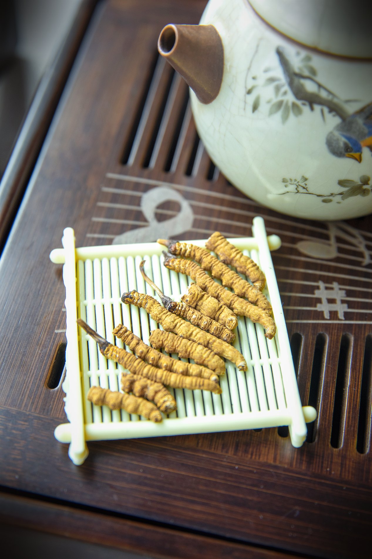 干虫草特写