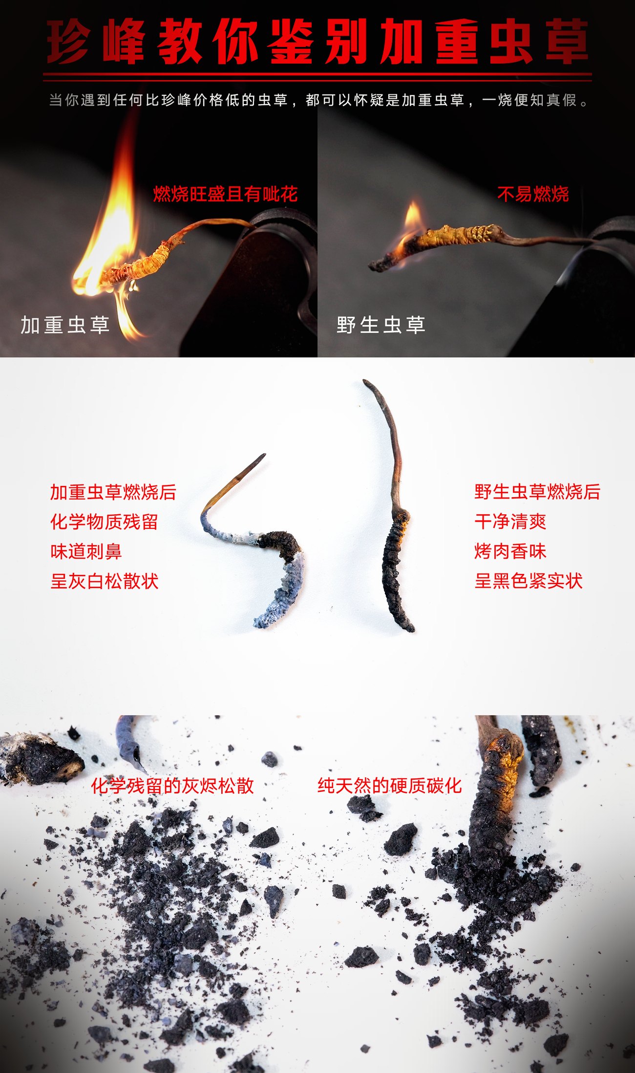 常见混淆品与伪品实物对照