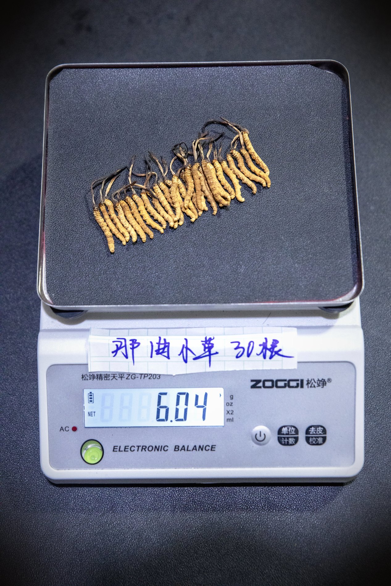 干虫草特写