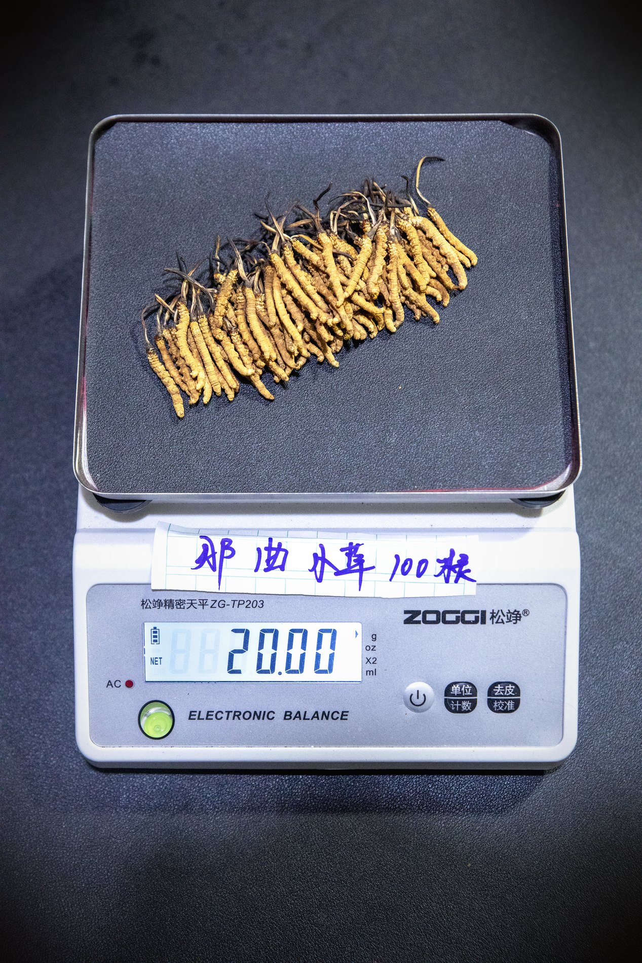 干虫草特写