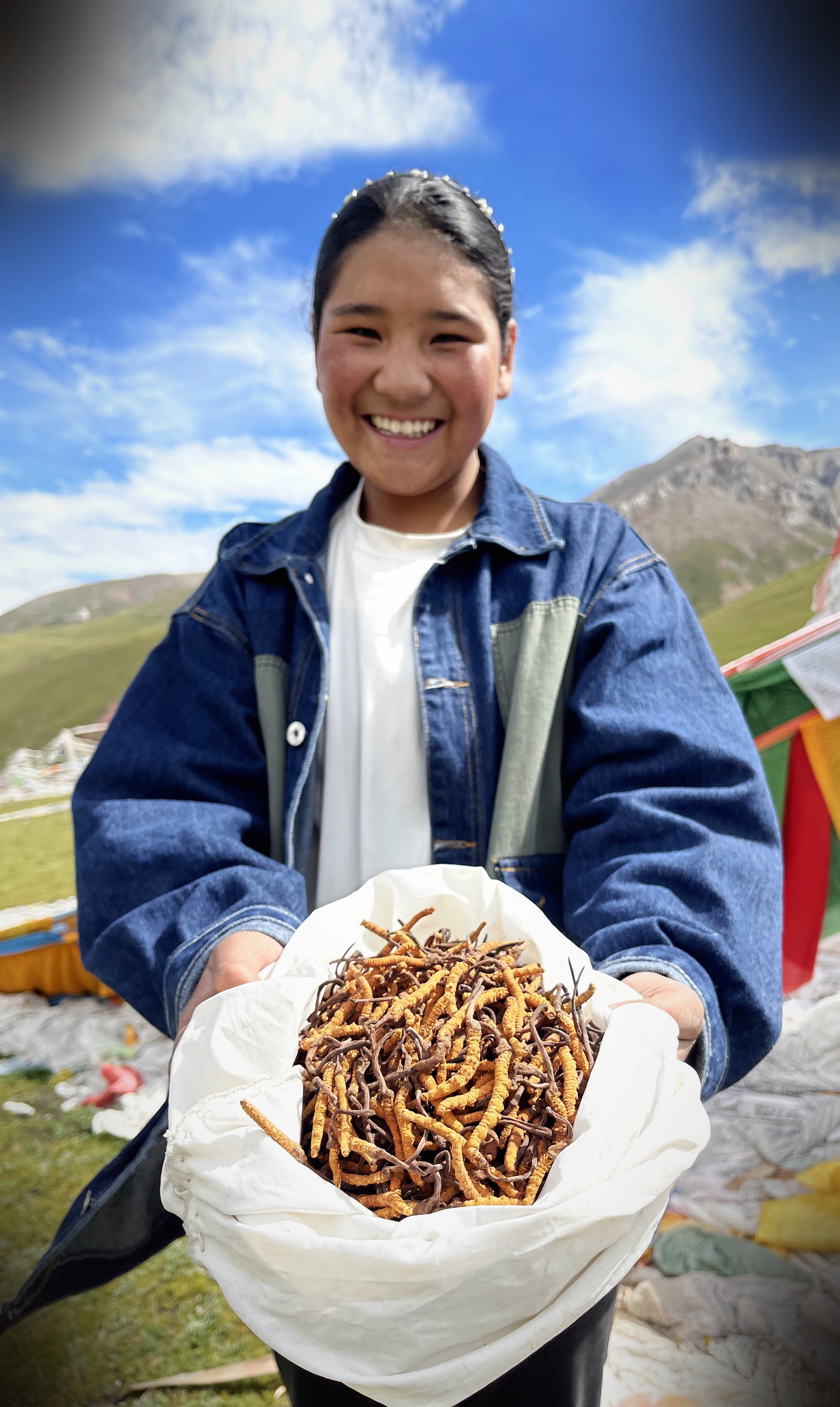 逐项对照