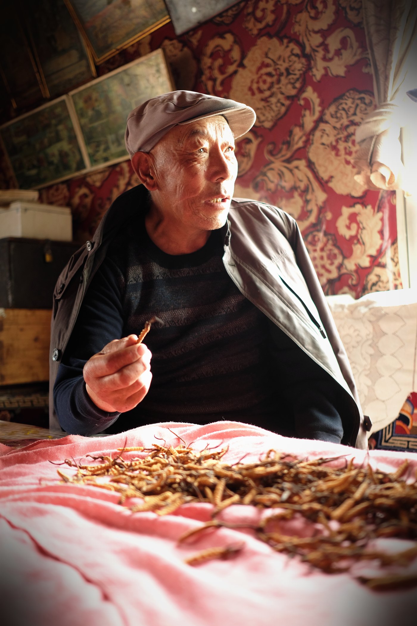 源头现收 · 草从牧民手里直接进仓库