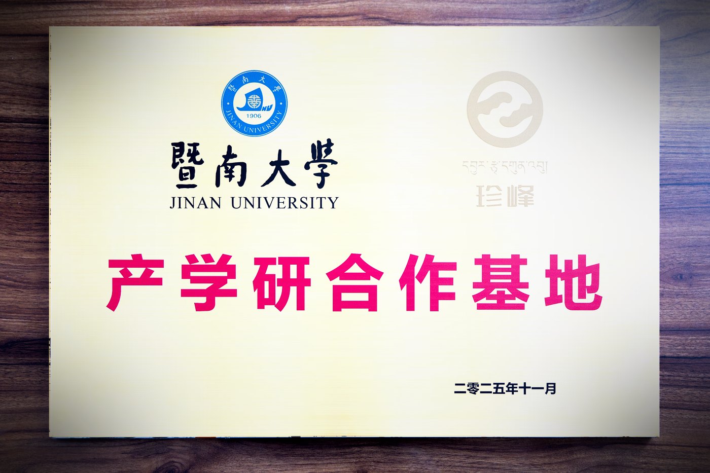 资质与背书