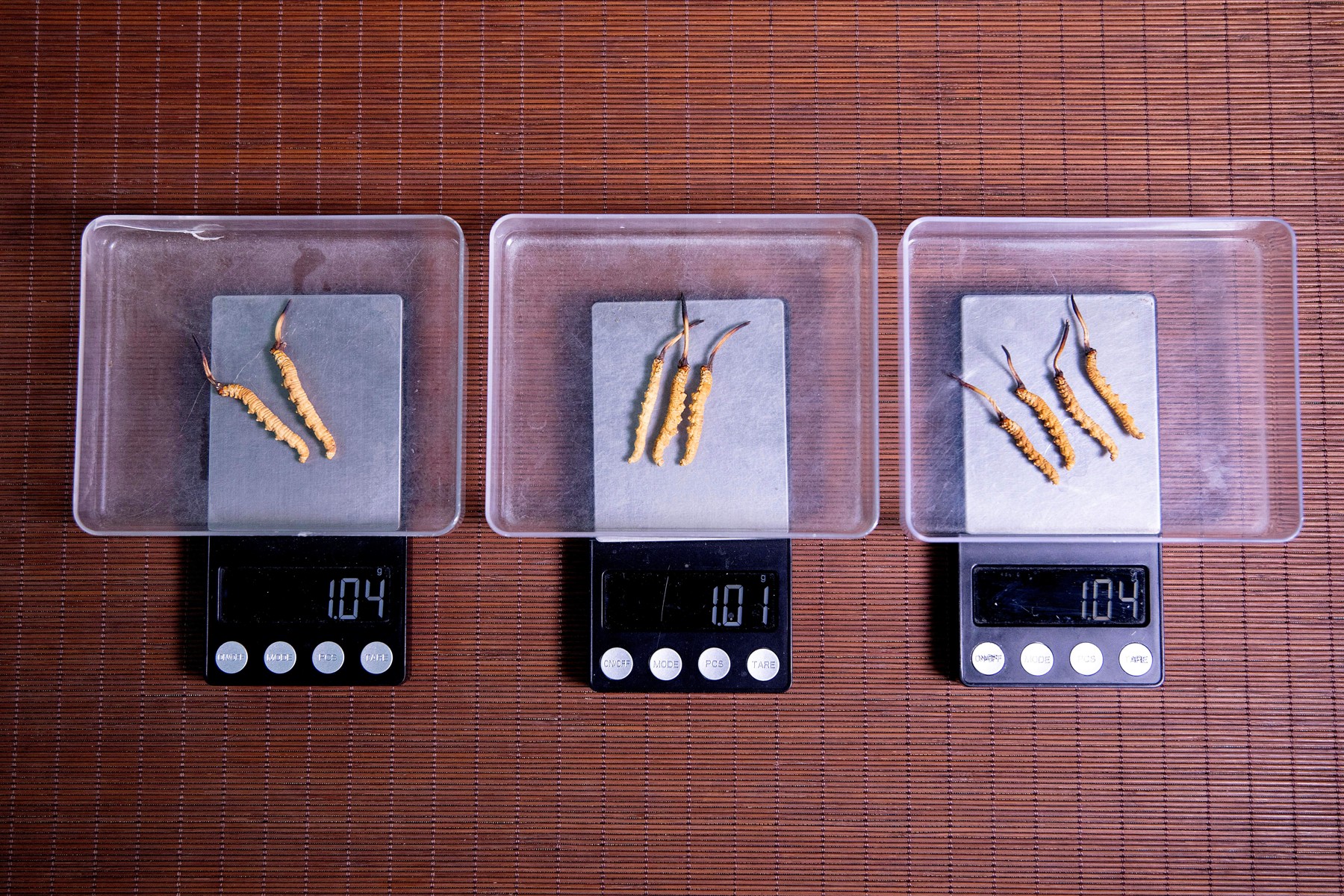 三台电子秤上的少量虫草。不同样品的读数,不能当作同一样品的重复测量。