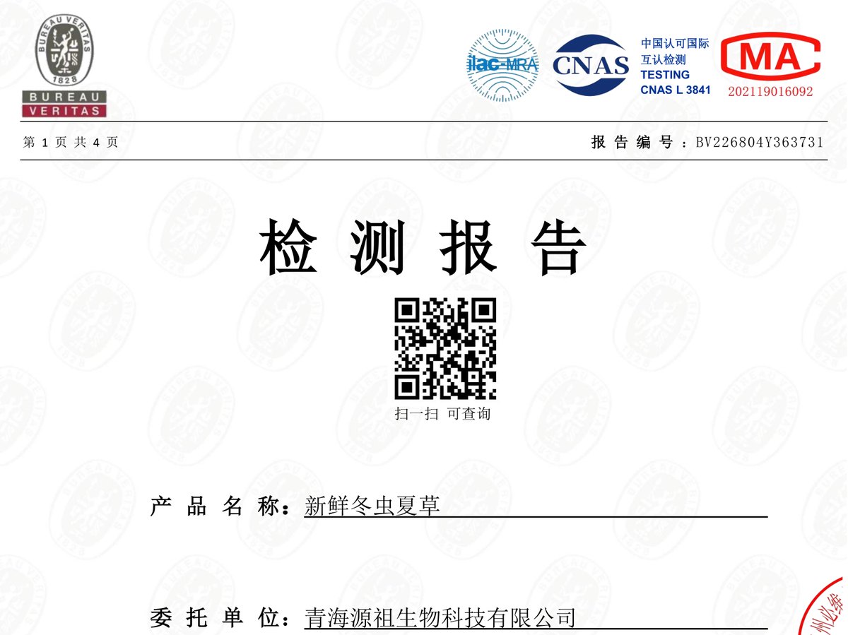 必维 Bureau Veritas 出具的新鲜冬虫夏草检测报告