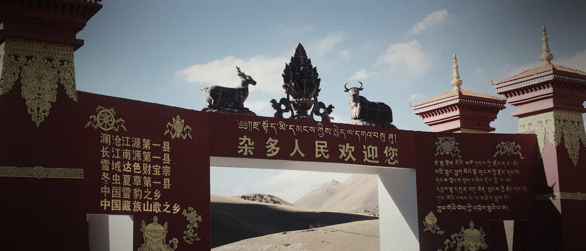 冬虫夏草为什么只长在高海拔:温度、土壤与蝙蝠蛾的三重门槛