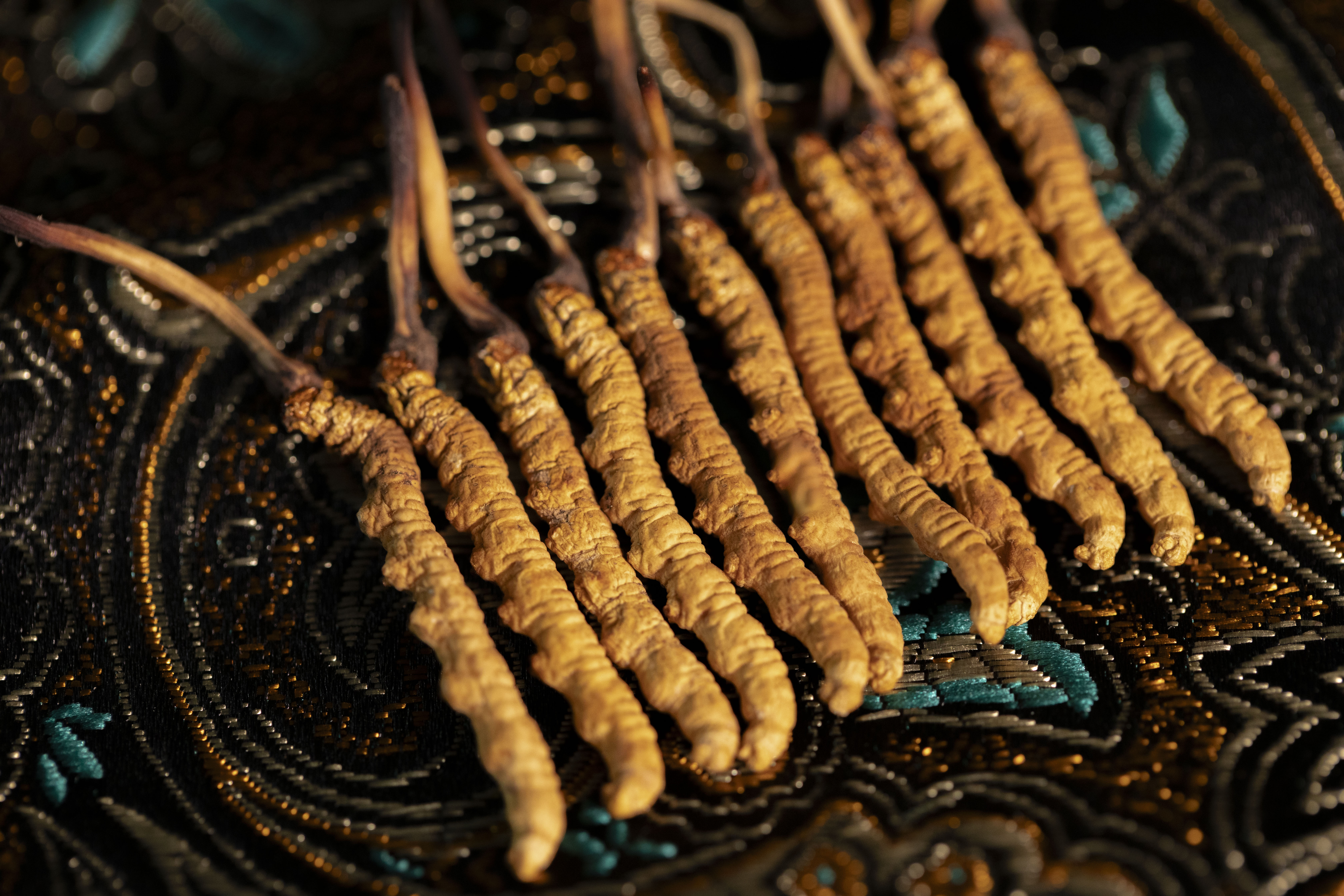featured image